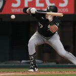 the-paintings-sox