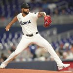 fable-beginning-pitcher-planner-26:-week-25